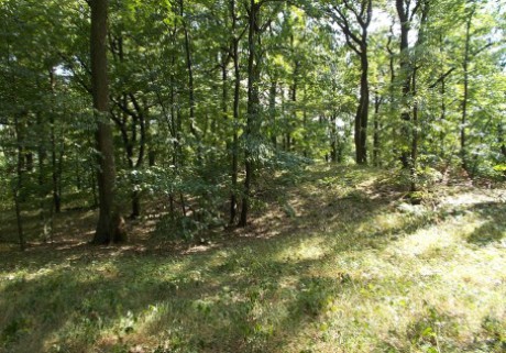 40 pásmo Dolinkovský vrch, halda v hornej časti v lese